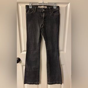 Woman’s Gap Long and Lean Stretch Jeans. Size 2L